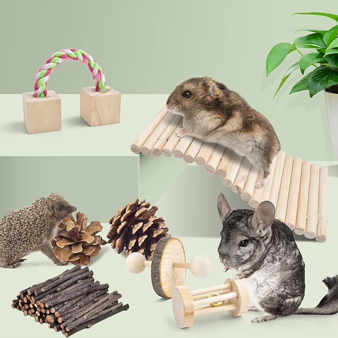 ERKOON New 12 Pack Hamster Chew Toys Gerbil Rat Guinea Pig Chinchilla Chew Toys Accessories, Natural Wooden Dumbbells Exercise Bell Roller Teeth Care Molar Toy for Rabbits Bird Rabbits Hamster Gerbil-Mewly Pet