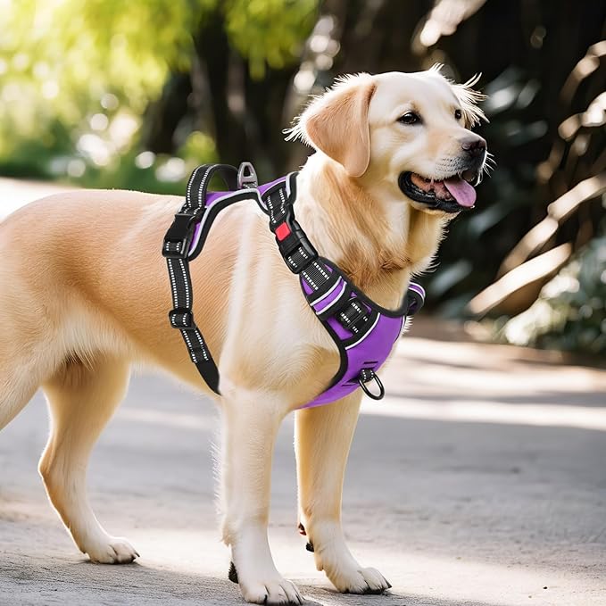 Timos Dog Harness Large Sized, No Pull with Neck Lockable Snap,No Choke Front Clip Dog Reflective Harness,Adjustable Metal Rings 3 Buckles,Easy Control Handle for Large Dogs Purple XL-Mewly Pet