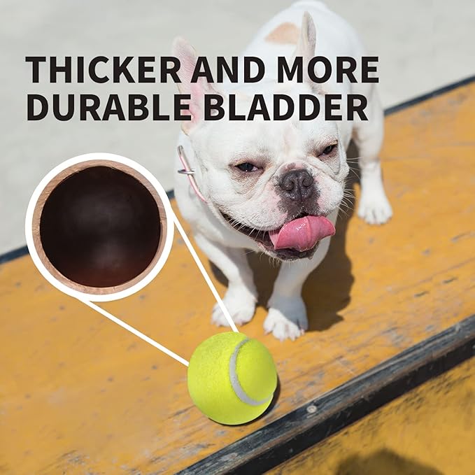 ALL FOR PAWS Interactive Super Bounce Tennis Balls Dog Toy, Pet Safe Toys for Exercise and Training, 2.5 Inch Diameter (6 Pack)-Mewly Pet