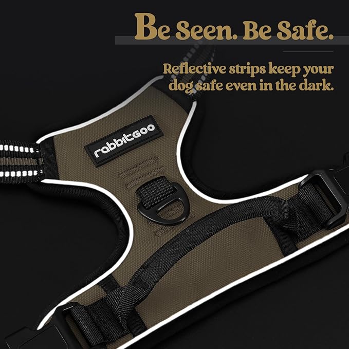 rabbitgoo Dog Harness No Pull with 2 Leash Clips, Adjustable Soft Padded, Reflective Oxford No Choke Pet Vest with Easy Control Handle for Large Dogs, Beige, L-Mewly Pet