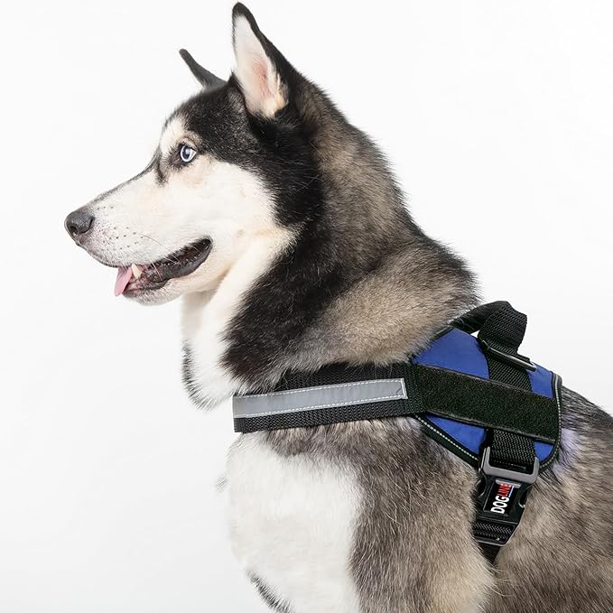 Dogline Dog Harness, Reflective No-Pull Adjustable Vest with Handle for Walking, Training, Breathable, No - Choke Harness for Small, Medium or Large Dogs Room for Patches Girth 33"-46" in Cyan Blue-Mewly Pet