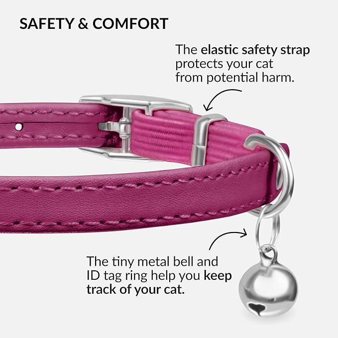 CollarDirect Leather Cat Collar with Bell - Kitten Collar, Small and Big Cat Strap for Boy Cats, Girl Cats with Safety Elastic Strap (Neck Fit 8"-11", Pink)-Mewly Pet