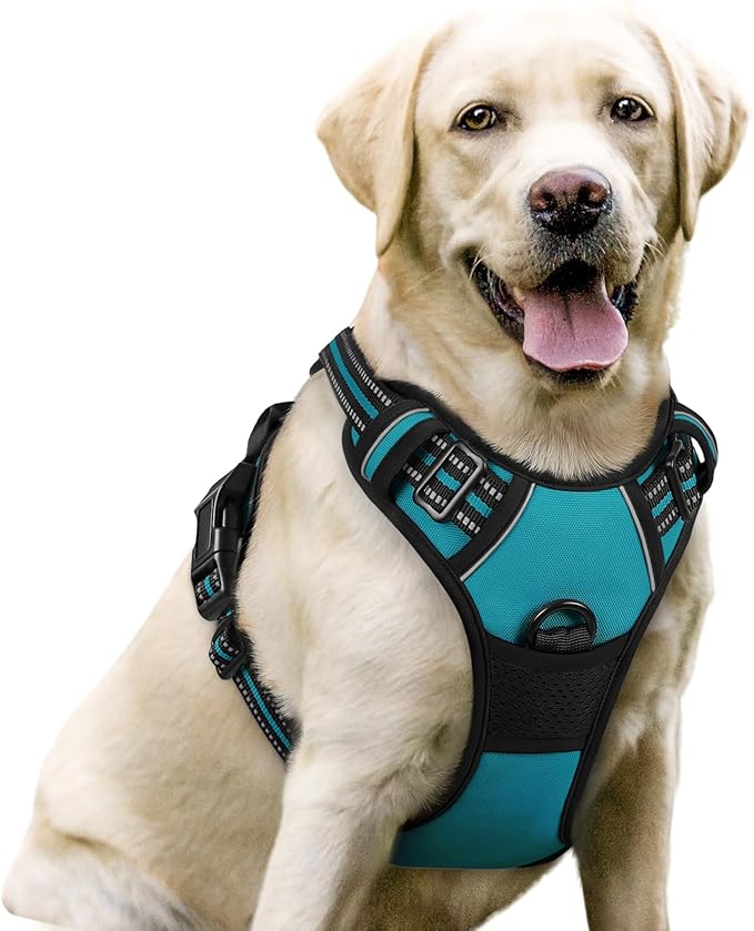 rabbitgoo Dog Harness No Pull with 2 Leash Clips, Adjustable Soft Padded, Reflective Oxford No Choke Pet Vest with Easy Control Handle for Large Dogs, Teal, L-Mewly Pet