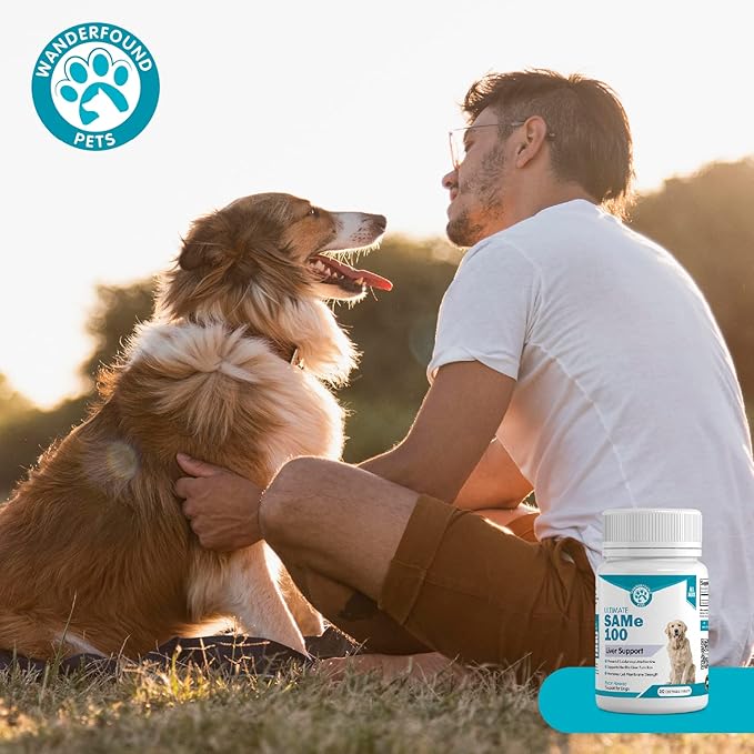 Wanderfound Pets Same 100 Liver Support for Dogs - Same S-Adenosyl-L-Methionine Hepatic Supplement for Liver & Brain Support - Bacon Flavored Sam E, Manufactured in The USA - 30 Chewable Tablets-Mewly Pet