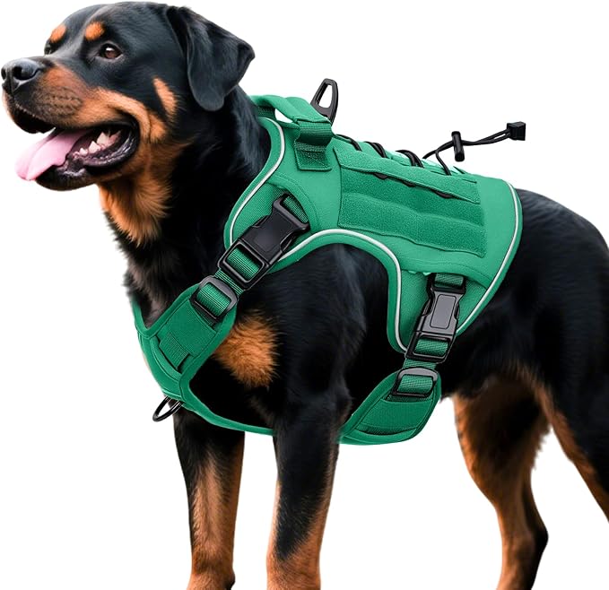 Heavy-Duty Tactical Dog Harness for Large Dogs, No Pull Adjustable Reflective Pet Vest with Molle System, K9 Military-Grade Control for Service Training, Outdoor & 10+ Breeds, Turquoise, X-Large-Mewly Pet