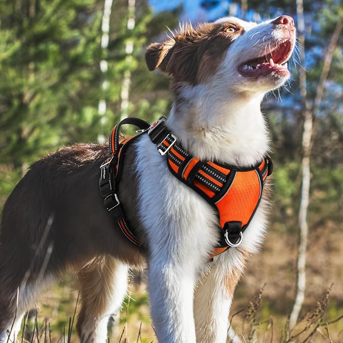 rabbitgoo Dog Harness Medium Sized, No Pull Dog Vest with 3 Buckles, Adjustable Soft Padded Pet Harness with Easy Control Handle and Reflective Strips, Orange, M-Mewly Pet