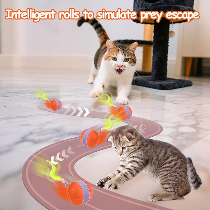 AIERSA Interactive Cat Toys for Indoor Adult Cats, Automatic Self-Play Cat Ball Toy for Kitten to Keep Them Busy, Electric Moving Chase Toy (Orange)-Mewly Pet