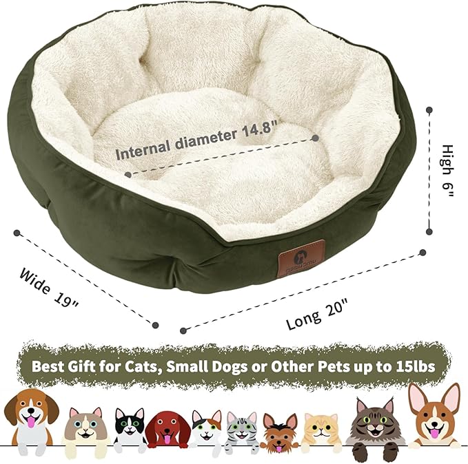 Asvin Small Dog Bed for Small Dogs, Cat Beds for Indoor Cats, Pet Bed for Puppy and Kitty, Extra Soft & Machine Washable with Anti-Slip & Water-Resistant Oxford Bottom, Green, 20 inches-Mewly Pet