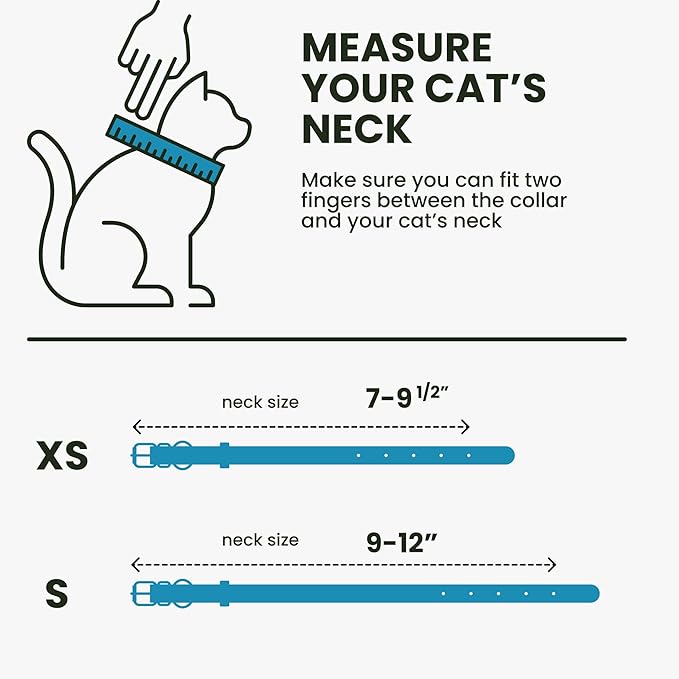BRONZEDOG Leather Cat Collar with Removable Bells Non Breakaway Kitten QR Tag for Girl Boy (7" - 9" for Cats, Blue & Silver)-Mewly Pet