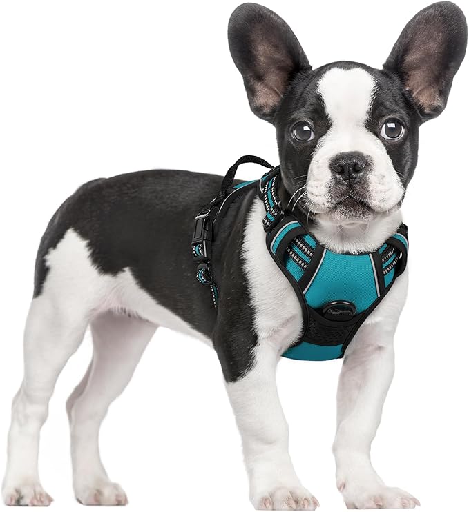 rabbitgoo Dog Harness No Pull with 2 Leash Clips, Adjustable Soft Padded, Reflective Oxford No Choke Pet Vest with Easy Control Handle for Small Dogs, Teal, S-Mewly Pet