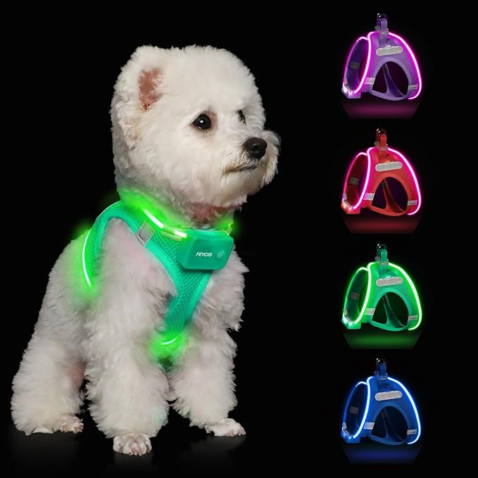 Light Up Dog Harness,Rechargeable LED Dog Harness for Small Medium Large Dogs,Reflective Lighted Safety Vest for Night Walking & Camping,Lightweight & Adjustable,Light Green,XS-Mewly Pet