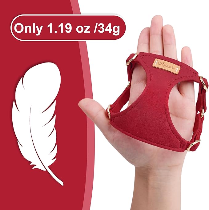 Puppytie No Pull Small Dog Harness with Multifunction Dog Leash,Lightweight Soft Adjustable No Choke Escape Proof Pet Harness Vest Pet Harness Vest,red-Camellia,S-Mewly Pet