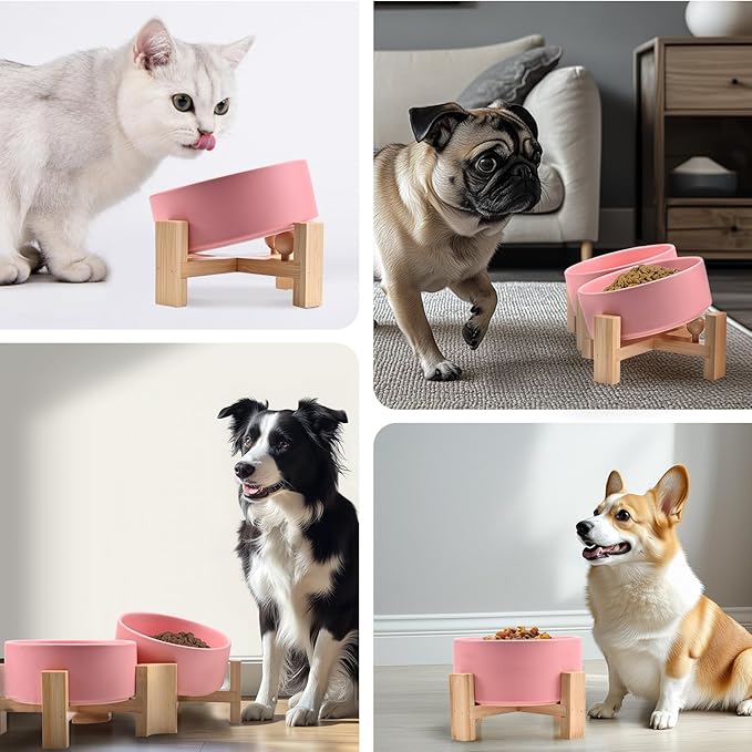 SPUNKYJUNKY 15° Slanted Ceramic Dog and Cat Bowl with Wooden Stand, Tilted Bulldog Food and Water Bowl No Slip Non-Spill for Cats Medium Dogs Big Face Pets 13.5 OZ (1.7 Cups, Pink × 2)-Mewly Pet