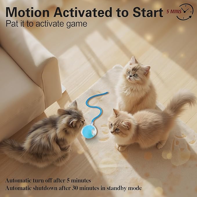 Interactive Cat Toys Ball for Indoor Cats, Automatic Agile Rolling Cat Ball with Elastic Mesh Tail, Bird Chirping & Motion Activated, 2 Tail Accessories, Kitten Toy for Bored (Blue)-Mewly Pet