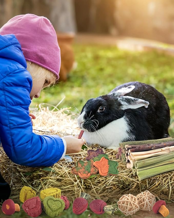 ERKOON 53 Bunny Chew Toys for Rabbits Teeth, Natural Rabbit Toys Apple Wood Sticks, Carrot, Timothy Grass for Small Pets, Hamster, Chinchilla, Guinea Pig Dental Care and Treat Teething(53)-Mewly Pet
