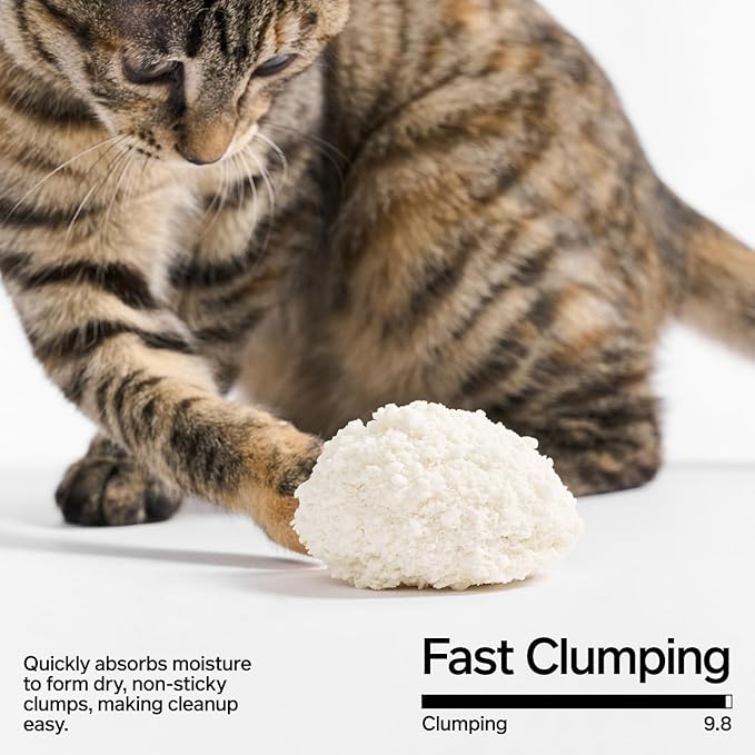 pidan Cassava Cat Litter clumping,Odor Control,Plant-Based Natural Ingredients,Ultra Absorbent and Fast Drying,Low,Dust,Scented (5.3lb×2bags)-Mewly Pet