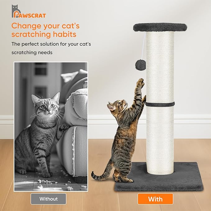 PAWSCRAT Cat Scratching Post 32" Tall, Large Diameter Natural Sisal Cat Scratch Post with Dangling Ball, Scratch-Resistant and Durable Tall Cat Scratcher for Indoor Cats, Protect Your Furniture, Grey-Mewly Pet