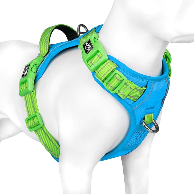 PHOEPET No Pull Dog Harness, Unique Colors Reflective Adjustable Dog Vest, with Soft Training Handle Metal Clips for Small Medium Large Dogs (Blue Base & Green Straps,S)-Mewly Pet