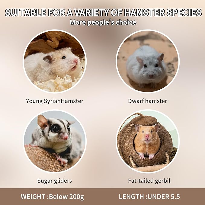 Bear-Shaped Hamster Hideout & Food Bowl Set - Ceramic Habitat for Syrian Dwarf Hamsters, Mice, Gerbils - All-Season Use, Chew-Proof Ceramic House and Feeding Dish for Small Pets(Blue)-Mewly Pet