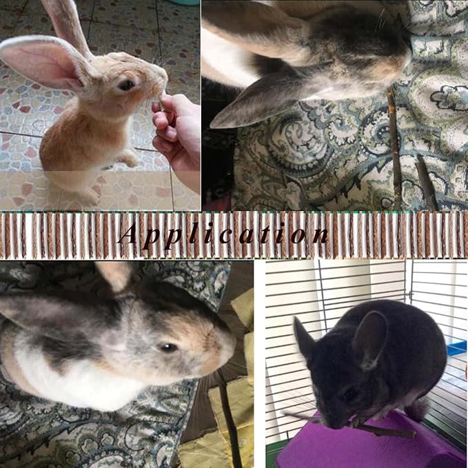 500g Apple Sticks Small Animals Molar Wood Toys for Rabbits Chinchillas Guinea Pig Hamster Gerbil Bunny and Small Animal Chew Stick Toys-Mewly Pet