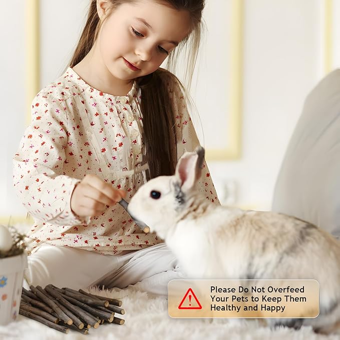 600g Organic Apple Sticks Small Animals Molar Wood Treats Toys for Chinchillas Guinea Pig Rabbits Hamster Gerbil Parrot Bunny Chew Stick Toys, 21.2 OZ-Mewly Pet