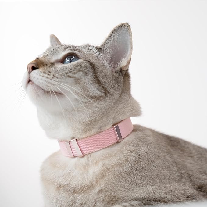 Safety Cat Collar - U.S. IDA Gold Awarding Design, Elastic Quick Release, Non Breakaway - Lightweight for Kitten, Neck Fit 7.8'-15.7' for All Small Large Cat,M(Linen)-Mewly Pet