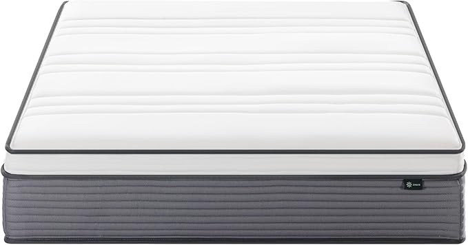 ZINUS 12 Inch True Support Hybrid Mattress [New Version], Queen, Fiberglass Free, Medium Feel, Motion Isolation, Certified Safe Foams & Fabric, Mattress in A Box