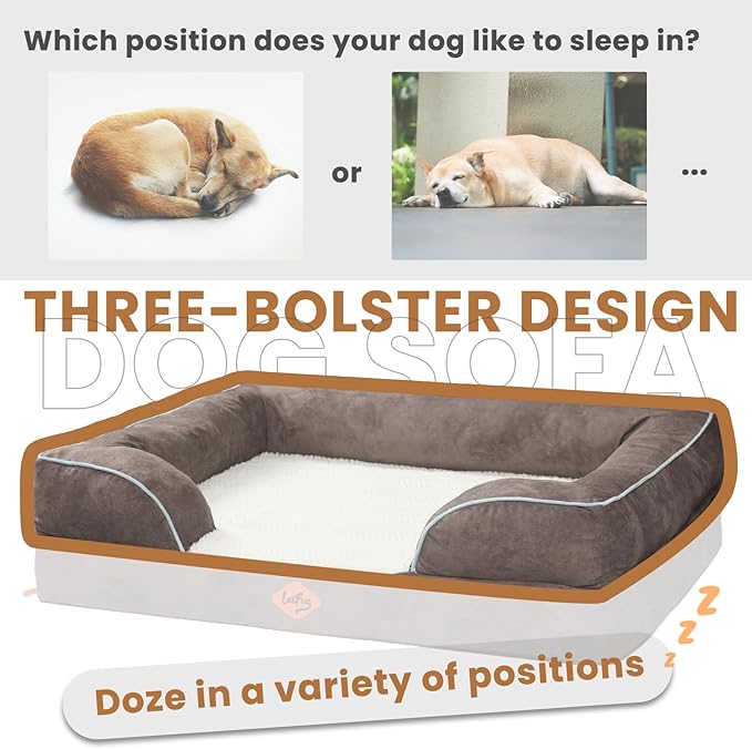 Laifug Large Orthopedic Premium Memory Foam Dog Bed, Dog Sofa with Washable and Removable Suede Cover, Waterproof Liner and Non-Slip Bottom Light Brown, X-Large(44''x34''x9'')-Mewly Pet