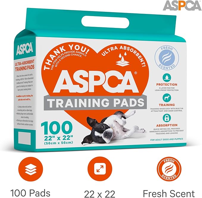 AS62930 Dog Training Pads, Pack of 100, Gray, 22" x 22" - Pack of 100-Mewly Pet
