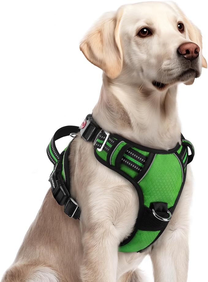 rabbitgoo Dog Harness for Large Dogs, No Pull Pet Vest with 3 Buckles, Adjustable Soft Padded Pet Harness with Easy Control Handle and Reflective Strips, Green, L-Mewly Pet