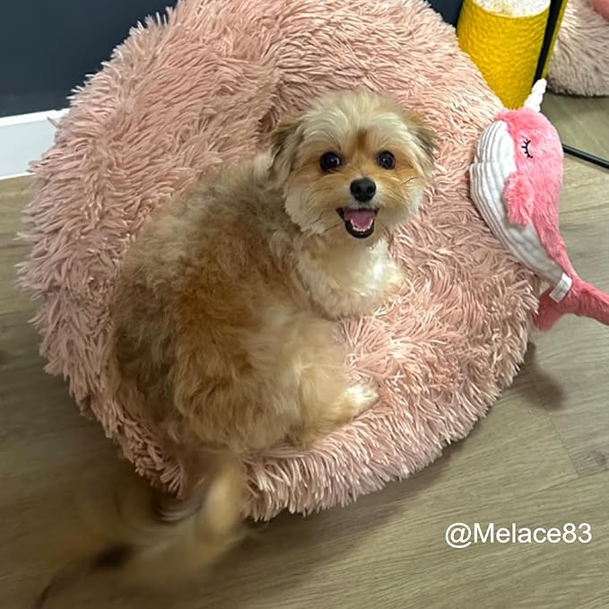 BABORUI Interactive Dog Toys Whale, Squeaky Dog Toys, Rechargeable Moving Dog Chew Toys for Small/Medium/Large Dogs/Puppy to Keep Them Busy (Pink)-Mewly Pet