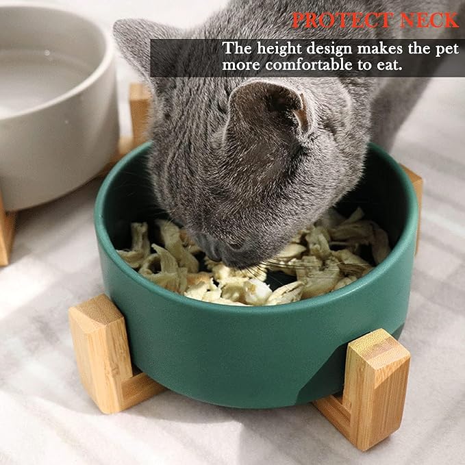 Petygooing Dog Bowls,Green Ceramic Cat Dog Bowl Set with Stand for Food and Water Feeder,Non-Slip Cute Modern Pet Dishes for Cats Small and Medium Size Dogs (28OZ/6.1 in)-Mewly Pet