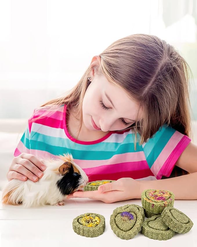 Sofier 12Pcs Timothy Hay Treats - Natural Chews for Teeth - Handmade Rabbit, Chinchilla, Gerbil, Rat, Hamster Toys - Bunny & Guinea Pig Toys-Mewly Pet