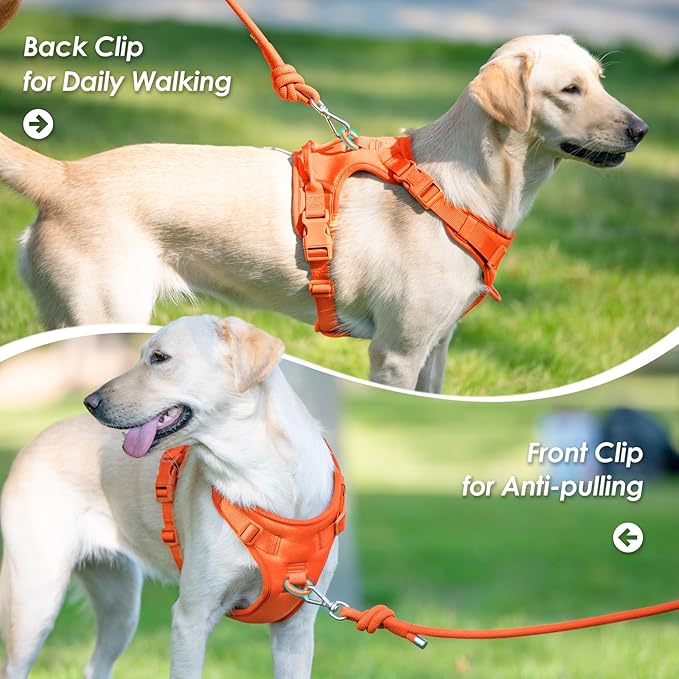 No Pull Dog Harness, Puppy Vest with Front Clip for Small Medium Large Sized Dog(Orange,XS)-Mewly Pet