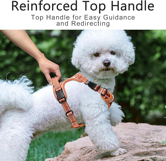 Timos Dog Harness, No Pull Dogs Harness 3 Snap Buckles Adjustable Reflective No Choke Pet Vest for Small Dog with Soft Padded Control Training Handle for Outdoor Training,Flower Orange, S-Mewly Pet