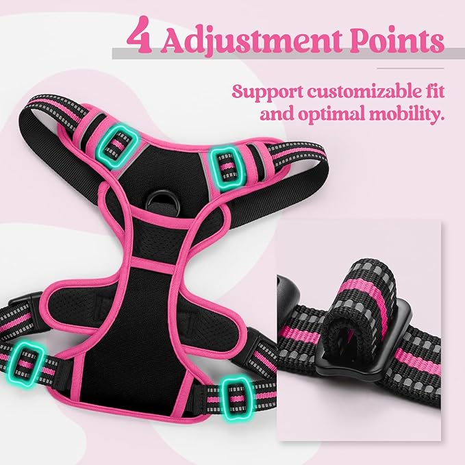 rabbitgoo Dog Harness No Pull with 2 Leash Clips, Adjustable Soft Padded, Reflective Oxford No Choke Pet Vest with Easy Control Handle for Large Dogs, Black & Hot Pink, S-Mewly Pet