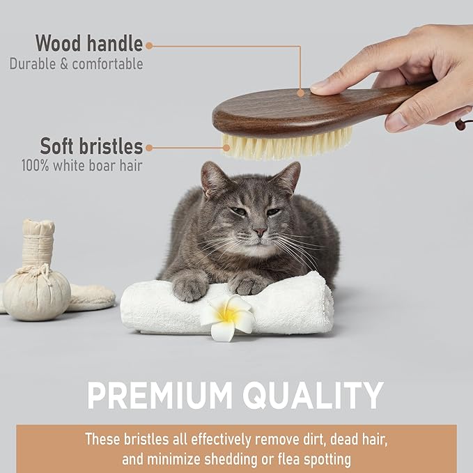 Takavu Natural White Boar Bristle Cat Brush - Gentle Grooming Tool for Sensitive Skin, Smoothing Fur & Healthy Shine - Soft Pet Brush-Mewly Pet