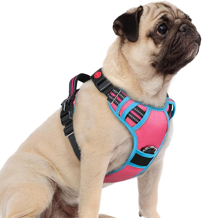 rabbitgoo Dog Harness Small Sized, No Pull Dog Vest with 3 Buckles, Adjustable Soft Padded Pet Harness with Easy Control Handle and Reflective Strips, Rose Pink & Blue, S-Mewly Pet
