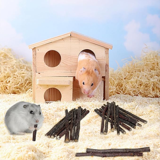 Apple Sticks 300g(0.7LB) Small Animals Wooden Pet Chew Treats Toys for Guinea Pigs Hamsters Rabbits Chinchillas Squirrels Small Animal Molar Wood Treats Toys-Mewly Pet