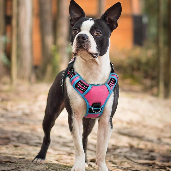 rabbitgoo Dog Harness Small Sized, No Pull Dog Vest with 3 Buckles, Adjustable Soft Padded Pet Harness with Easy Control Handle and Reflective Strips, Rose Pink & Blue, S-Mewly Pet
