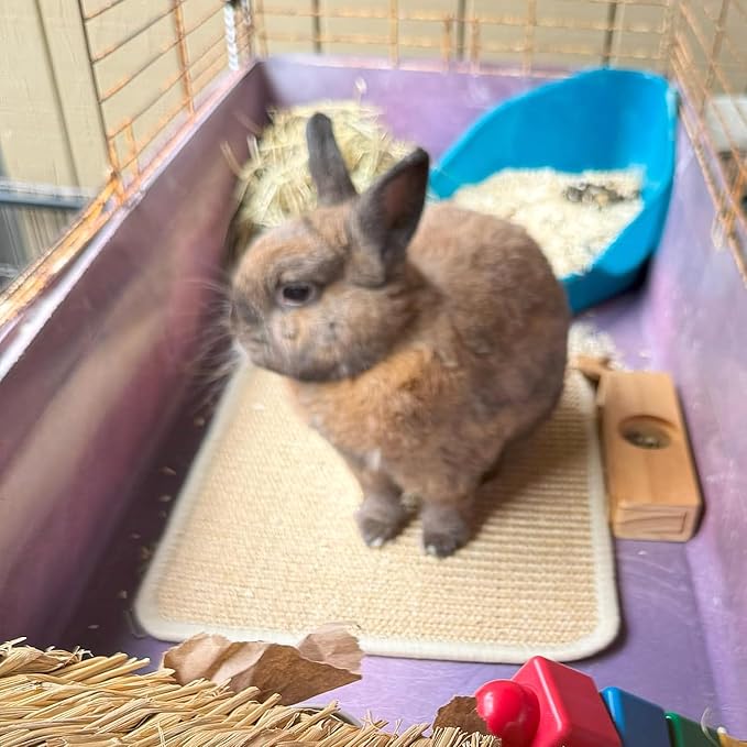 PODOO Bunny Scratch Pads, Sisal Rabbit Scratching Pad, Natural Rabbit Resting Mats for Cages, Forage Grass Mat Indoor Essentials Accessories for Guinea Pig Cat (4Pcs, 23.6 x 15.7 inches)-Mewly Pet