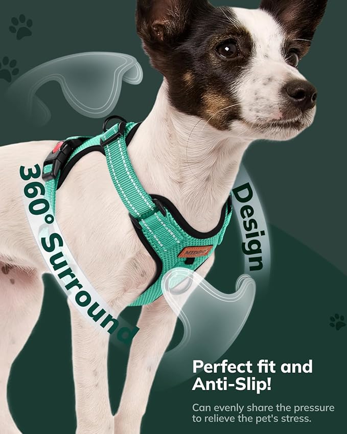 MIDOG No-Pull Dog Harness | Adjustable & Reflective Pet Harness Leash Set for Small Medium Large Dogs Walking, Training| No Choke, Front Clip, Soft Padded Vest with Easy Control Handle - Green, L-Mewly Pet