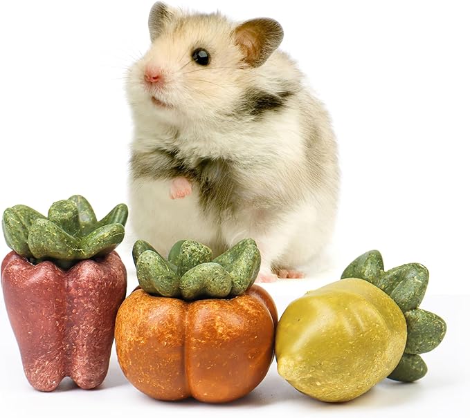 TEEWY Guinea Pig Chew Toys, Natural Vegetables and Timothy Grass, Hamster Chew Toys, Prevents Excessive Tooth Growth in Chinchillas, Gerbils, Hamsters, and Rabbits, Fruits & Vegetables Set-Mewly Pet