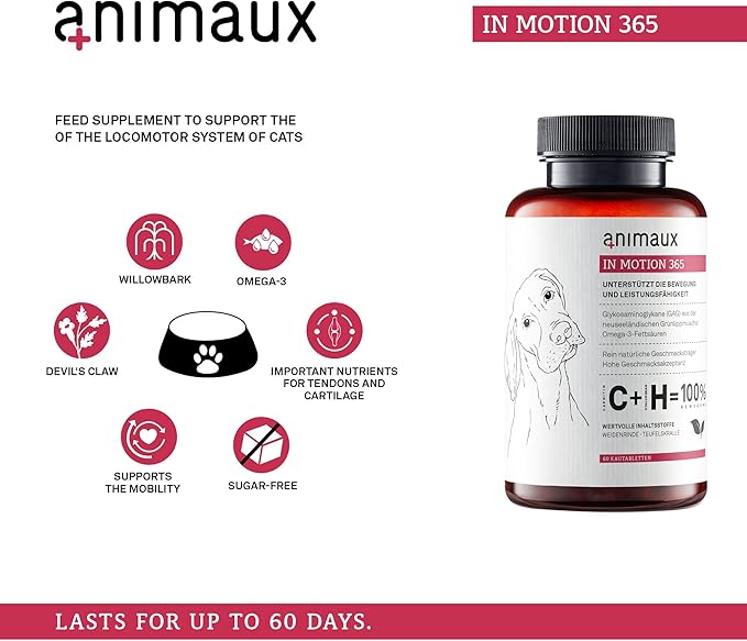 animaux – in Motion 365 for Dogs, Joints, Bones, Mobility, Ligaments and Tendons, Green-Lipped Mussel, Willow Bark and Devil’s Claw, Natural Pain Relief, 60 Chewable Tablets, 60 Days Supply-Mewly Pet