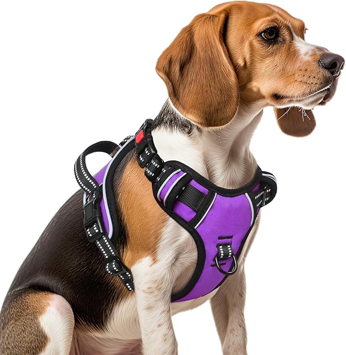 Timos Dog Harness Medium Sized, No Pull with Neck Lockable Snap,No Choke Front Clip Dog Reflective Harness,Adjustable Metal Rings 3 Buckles,Easy Control Handle for Medium Dogs Purple M-Mewly Pet