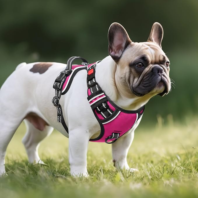 Timos No Pull Dog Harness, No Choke Front Lead Dog Reflective Harness, Adjustable Soft Padded Pet Vest with Easy Control Handle for Small Medium Large Dogs, S-Mewly Pet