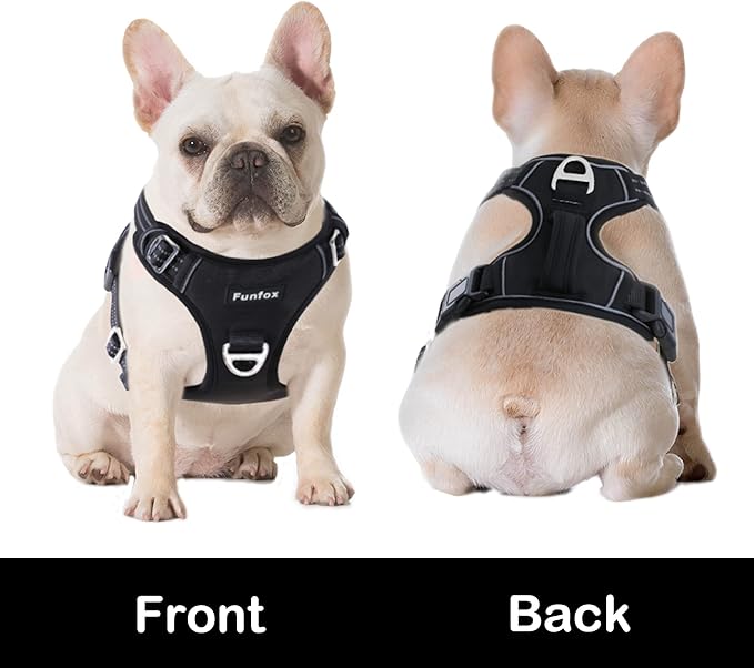 Funfox Dog Harness No Pull, Adjustable Pet Vest Harness, Super Soft Material with Vertical Handle Easy Control, Reflective Night Walking, 2 Leash Clips for Medium Sized Dogs, Black, M-Mewly Pet