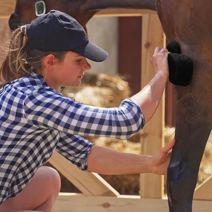 Eaasty 3 Pcs Horse Groomer Sponge Scrubber Massager Horse Grooming Brush Kit Supplies Large Soft Care for Cleaning Washing Bathing, Black, 4.33 x 7.87 x 2.56 Inch-Mewly Pet