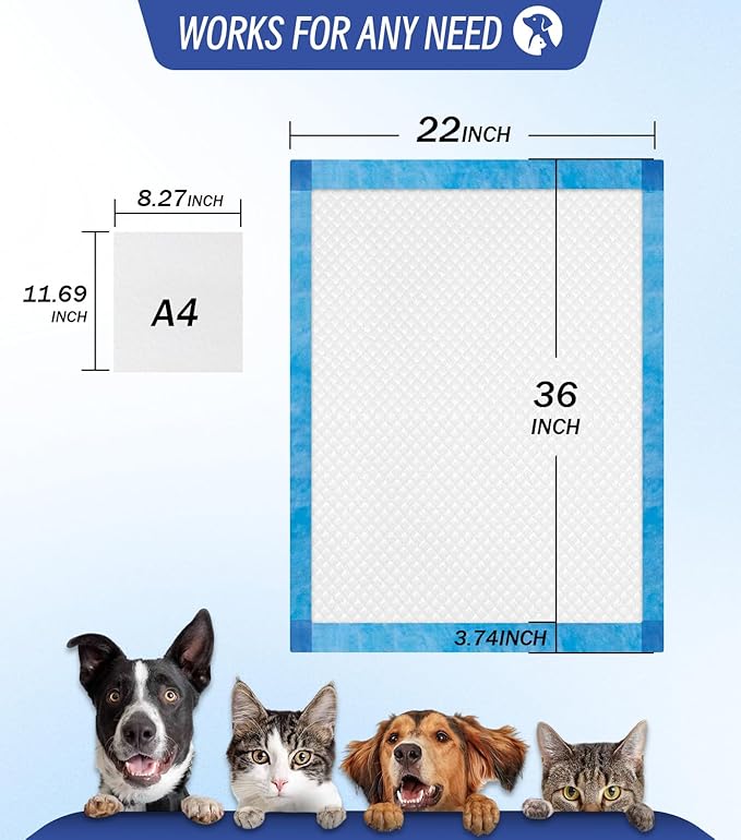 Large Puppy Pee Pads 22x36 Inch 100-Pack | Extra Absorbent Potty Training Pads for Dogs | Leakproof Quick-Dry & Odor Blocking Pet Housebreaking Supplies-Mewly Pet