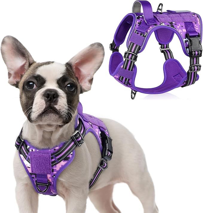 rabbitgoo Tactical Dog Harness for Small Dogs, No Pull Military Service Vest with Handle & Molle, Easy Control for Training Walking, Adjustable Reflective Straps, Purple Camo, S-Mewly Pet